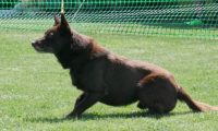 IMG_moosen_2018_069