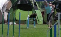 IMG_moosen_2018_072