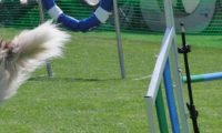 IMG_moosen_2018_083