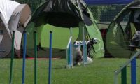 IMG_moosen_2018_085