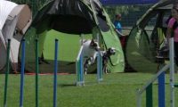 IMG_moosen_2018_087