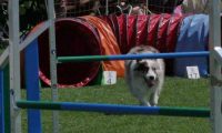 IMG_moosen_2018_092