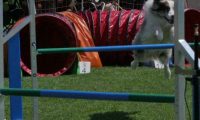 IMG_moosen_2018_094