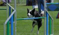 IMG_moosen_2018_095