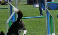 IMG_moosen_2018_098