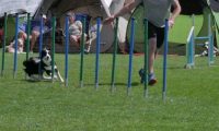 IMG_moosen_2018_101