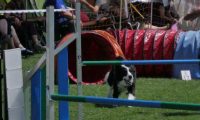 IMG_moosen_2018_105