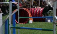IMG_moosen_2018_107