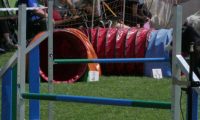IMG_moosen_2018_108