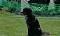 IMG_moosen_2018_113