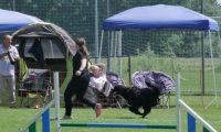 IMG_moosen_2018_129