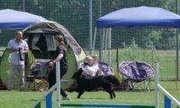 IMG_moosen_2018_130