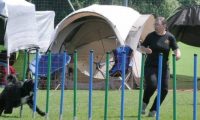 IMG_moosen_2018_131