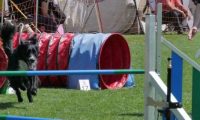 IMG_moosen_2018_148