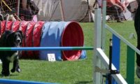 IMG_moosen_2018_149