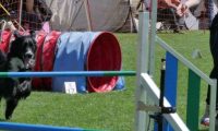 IMG_moosen_2018_150