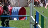 IMG_moosen_2018_151