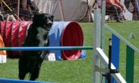 IMG_moosen_2018_152