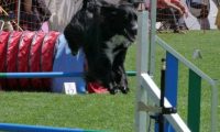 IMG_moosen_2018_154