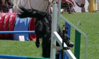 IMG_moosen_2018_155