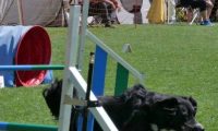 IMG_moosen_2018_156