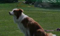 IMG_moosen_2018_157