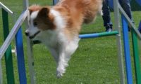 IMG_moosen_2018_159