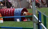 IMG_moosen_2018_169