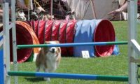 IMG_moosen_2018_171
