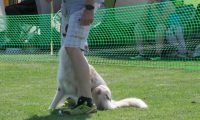IMG_moosen_2018_175