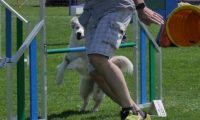 IMG_moosen_2018_177