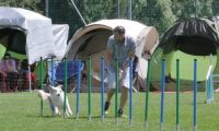 IMG_moosen_2018_189