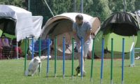 IMG_moosen_2018_190
