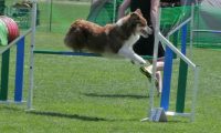 IMG_moosen_2018_207