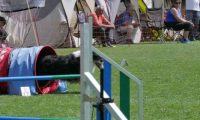 IMG_moosen_2018_220