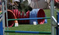 IMG_moosen_2018_231