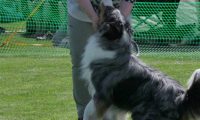 IMG_moosen_2018_233