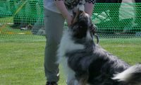 IMG_moosen_2018_234