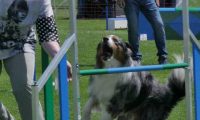 IMG_moosen_2018_235