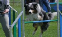 IMG_moosen_2018_236