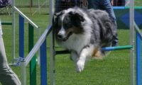 IMG_moosen_2018_237