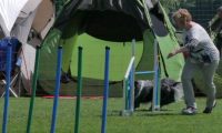 IMG_moosen_2018_240
