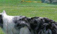 IMG_moosen_2018_247