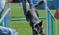 IMG_moosen_2018_255