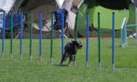 IMG_moosen_2018_264