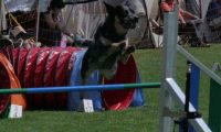 IMG_moosen_2018_267