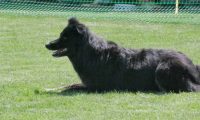 IMG_moosen_2018_268