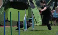 IMG_moosen_2018_271