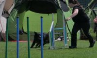IMG_moosen_2018_272