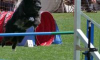 IMG_moosen_2018_280